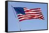 USA, California, San Diego. American flag waves above Liberty Station-Ann Collins-Framed Stretched Canvas