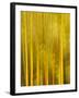 USA, California, San Diego, Bamboo Trees Blurred with Camera-Ann Collins-Framed Photographic Print