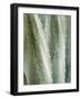 USA, California, San Diego, Close-Up of Agave Americana-Ann Collins-Framed Photographic Print