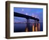USA, California, San Diego, Coronado Bridge Curves over San Diego Bay-Ann Collins-Framed Photographic Print