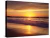 USA, California, San Diego. La Jolla Shores Beach Reflects the Sunset-Jaynes Gallery-Stretched Canvas