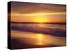 USA, California, San Diego. La Jolla Shores Beach Reflects the Sunset-Jaynes Gallery-Stretched Canvas