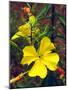 USA, California, San Diego, Mission Trails, Evening Primrose Flowers-Jaynes Gallery-Mounted Photographic Print