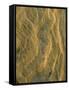 USA, California, San Diego, Patterns of Sandstone at the Beach-Jaynes Gallery-Framed Stretched Canvas