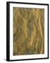 USA, California, San Diego, Patterns of Sandstone at the Beach-Jaynes Gallery-Framed Photographic Print