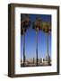 USA, California, San Diego. San Diego Skyline and Palm Trees-Kymri Wilt-Framed Photographic Print