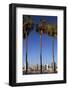 USA, California, San Diego. San Diego Skyline and Palm Trees-Kymri Wilt-Framed Photographic Print