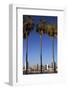 USA, California, San Diego. San Diego Skyline and Palm Trees-Kymri Wilt-Framed Photographic Print