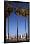 USA, California, San Diego. San Diego Skyline and Palm Trees-Kymri Wilt-Framed Photographic Print