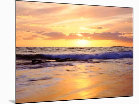 USA, California, San Diego, Sunset Cliffs Beach on the Pacific Ocean-Jaynes Gallery-Mounted Photographic Print