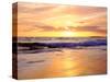 USA, California, San Diego, Sunset Cliffs Beach on the Pacific Ocean-Jaynes Gallery-Stretched Canvas