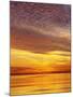 USA, California, San Diego. Sunset Cliffs Reflecting the Sunset-Jaynes Gallery-Mounted Photographic Print