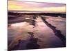 USA, California, San Diego, Sunset Cliffs Tide Pools, Pacific Ocean-Jaynes Gallery-Mounted Photographic Print