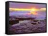 USA, California, San Diego, Sunset Cliffs Tide Pools, Pacific Ocean-Jaynes Gallery-Framed Stretched Canvas