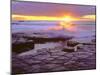 USA, California, San Diego, Sunset Cliffs Tide Pools, Pacific Ocean-Jaynes Gallery-Mounted Premium Photographic Print