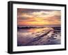 USA, California, San Diego, Sunset Cliffs Tide Pools, Pacific Ocean-Jaynes Gallery-Framed Premium Photographic Print