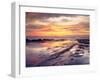 USA, California, San Diego, Sunset Cliffs Tide Pools, Pacific Ocean-Jaynes Gallery-Framed Premium Photographic Print