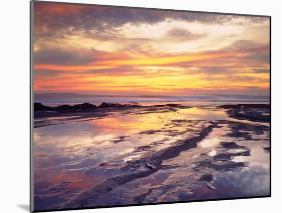 USA, California, San Diego, Sunset Cliffs Tide Pools, Pacific Ocean-Jaynes Gallery-Mounted Premium Photographic Print