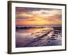 USA, California, San Diego, Sunset Cliffs Tide Pools, Pacific Ocean-Jaynes Gallery-Framed Photographic Print