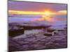 USA, California, San Diego, Sunset Cliffs Tide Pools, Pacific Ocean-Jaynes Gallery-Mounted Photographic Print