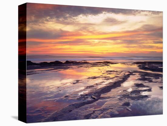 USA, California, San Diego, Sunset Cliffs Tide Pools, Pacific Ocean-Jaynes Gallery-Stretched Canvas