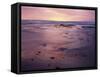 USA, California, San Diego, Sunset on Sand and Rocks-Christopher Talbot Frank-Framed Stretched Canvas