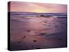 USA, California, San Diego, Sunset on Sand and Rocks-Christopher Talbot Frank-Stretched Canvas