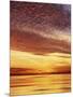 USA, California, San Diego, Sunset over the Pacific Ocean-Christopher Talbot Frank-Mounted Photographic Print