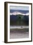 USA, California, San Diego. Surfer at Cardiff by the Sea-Kymri Wilt-Framed Photographic Print