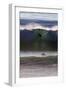 USA, California, San Diego. Surfer at Cardiff by the Sea-Kymri Wilt-Framed Photographic Print