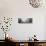 Usa, California, San Francisco, Apartment in San Francisco-null-Stretched Canvas displayed on a wall