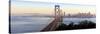 USA, California, San Francisco, City Skyline and Bay Bridge from Treasure Island-Gavin Hellier-Stretched Canvas