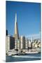 Usa, California, San Francisco. Skyline with Transamerica building prominent.-Merrill Images-Mounted Premium Photographic Print