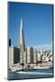 Usa, California, San Francisco. Skyline with Transamerica building prominent.-Merrill Images-Mounted Photographic Print