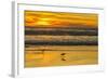 USA, California, San Luis Obispo County. Long-billed curlews feeding at sunset.-Jaynes Gallery-Framed Photographic Print