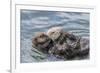 USA, California, San Luis Obispo County. Sea otter mother and pup grooming.-Jaynes Gallery-Framed Premium Photographic Print