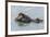 USA, California, San Luis Obispo County. Sea otter mother and pup.-Jaynes Gallery-Framed Premium Photographic Print
