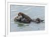 USA, California, San Luis Obispo County. Sea otter mother and pup.-Jaynes Gallery-Framed Premium Photographic Print