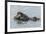 USA, California, San Luis Obispo County. Sea otter mother and pup.-Jaynes Gallery-Framed Premium Photographic Print