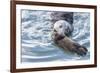 USA, California, San Luis Obispo. Sea otter mother and pup.-Jaynes Gallery-Framed Premium Photographic Print