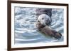 USA, California, San Luis Obispo. Sea otter mother and pup.-Jaynes Gallery-Framed Photographic Print