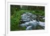 USA, California. Scenic of Coldwater Creek.-Jaynes Gallery-Framed Photographic Print