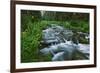 USA, California. Scenic of Coldwater Creek.-Jaynes Gallery-Framed Photographic Print