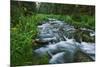 USA, California. Scenic of Coldwater Creek.-Jaynes Gallery-Mounted Photographic Print