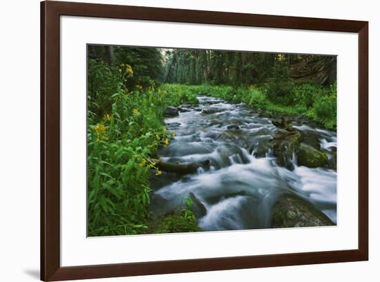 USA, California. Scenic of Coldwater Creek.-Jaynes Gallery-Framed Premium Photographic Print