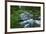 USA, California. Scenic of Coldwater Creek.-Jaynes Gallery-Framed Premium Photographic Print