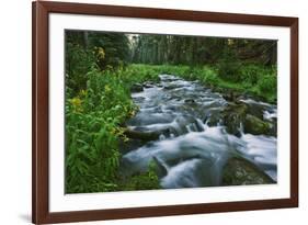 USA, California. Scenic of Coldwater Creek.-Jaynes Gallery-Framed Premium Photographic Print