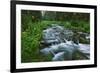 USA, California. Scenic of Coldwater Creek.-Jaynes Gallery-Framed Premium Photographic Print