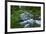 USA, California. Scenic of Coldwater Creek.-Jaynes Gallery-Framed Premium Photographic Print