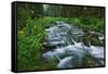 USA, California. Scenic of Coldwater Creek.-Jaynes Gallery-Framed Stretched Canvas